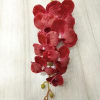Gambar Bunga Anggrek Latex 3D Import 9cabang dari Lim Betta Galery undefined 4 Tokopedia