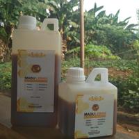 Gambar Madu Murni Lebah Melifera Nektar Randu Asli 100% - 1kg dari madulebah_store undefined 2 Tokopedia