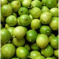Gambar lemon lokal 1kg dari Pasar induk kramatjati online undefined 1 Tokopedia