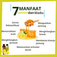 Gambar Madu asli Hutan 700 gram dan Sari Lemon 500 ml Tasikmaya Bandung dari Arzhelia_shop undefined 3 Tokopedia