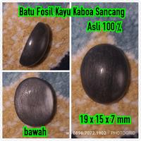 Gambar batu fosil kayu kaboa sancang asli kode 9 no galih kelor bacan rubi dari mustika antik undefined 1 Tokopedia