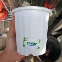 Gambar POT KAKTUS / POT BUNGA TINGGI DIM 18 TGG 18.5 YOGAP 15 YPT 15 - Merah dari SHOSAZ FARM STORE undefined 3 Tokopedia