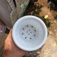 Gambar POT KAKTUS / POT BUNGA TINGGI DIM 18 TGG 18.5 YOGAP 15 YPT 15 - Merah dari SHOSAZ FARM STORE undefined 4 Tokopedia