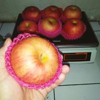 Gambar Apel Fuji RRC Segar Garing Import Fresh Impor Bukan Buah Lokal dari JiemStore undefined 2 Tokopedia