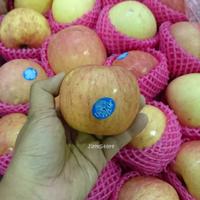 Gambar Apel Fuji RRC Segar Garing Import Fresh Impor Bukan Buah Lokal dari JiemStore undefined 3 Tokopedia