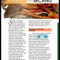 Gambar KAYU SECANG ASLI dari Kedai Sehat Healthyfood Store undefined 3 Tokopedia