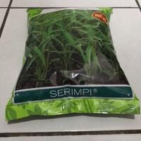 Gambar Benih Kangkung Serimpi 1 kg - Cap Panah Merah dari Sarana Pertanian Tokped undefined 2 Tokopedia
