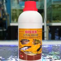 Gambar Boster Vitaliquid 500ml multi vitamin untuk pertumbuhan ikan dari TOKO LELE undefined 1 Tokopedia