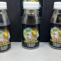 Gambar telur artemia 50grm dari YenYen Betta undefined 3 Tokopedia