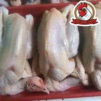 Gambar AYAM KAMPUNG MEDIUM 800-900 gr dari AYAM KAMPUNG SURABAYA undefined 1 Tokopedia