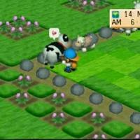 Gambar GAME PC HARVEST MOON BACK TO NATURE - GAME PC - DVD dari CIPTA 8 SOLUTION undefined 2 Tokopedia