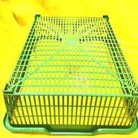 Gambar tray jaring bak lubang uk 37 x 29 x 10 cm untuk menanam kangkung dari Helook shop undefined 4 Tokopedia