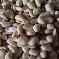 Gambar Kacang tanah kupas buah besar per 500gr dari Maxtom Mart undefined 1 Tokopedia