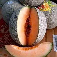 Gambar Buah Melon madu Orange - 2000gr dari UD.Riyanti Buah undefined 2 Tokopedia