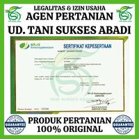 Gambar Benih Cabai Besar BAJA MC F1 1500 Biji - Bibit Cabe Cap Panah Merah dari UD. Tani Sukses Abadi undefined 2 Tokopedia