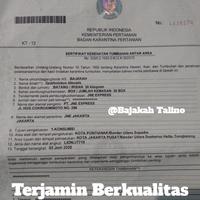 Gambar Akar Bajakah/Bajakah Tampala 100%asli Kalimantan 500gram dari Bajakah Talino undefined 5 Tokopedia