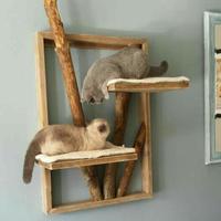 Gambar cat room / cat playground dari karyajaya88-8 undefined 1 Tokopedia