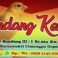 Gambar Burung Kenari dari Gondang kenari undefined 1 Tokopedia