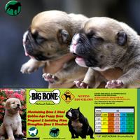 Gambar Big Bone Calcium 350gr Kalsium Vitamin Hewan Anjing Kucing dari RumahBully Bandung undefined 2 Tokopedia