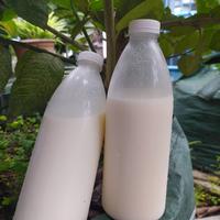 Gambar PLAIN KEFIR 100% SUSU MURNI dari Unlock iPhone undefined 3 Tokopedia