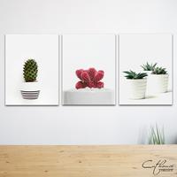 Gambar WDG032 CACTUS SUCCULENT - home wall decor hiasan dinding| KAKTUS - Cactus 1 dari Cuthouse Indonesia undefined 1 Tokopedia