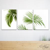 Gambar WDG033 PALM - home wall decor hiasan dinding| PALEM KELAPA - Palm 1 dari Cuthouse Indonesia undefined 1 Tokopedia