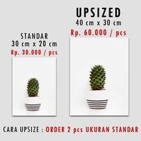 Gambar WDG032 CACTUS SUCCULENT - home wall decor hiasan dinding| KAKTUS - Cactus 1 dari Cuthouse Indonesia undefined 2 Tokopedia