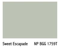 Gambar CAT NIPPON 5 KG / 2.5 L / TORRENTS 1758 D / SWEET ESCAPADE 1759 T - SpotlessPlus MATT dari MATERIAL ON undefined 3 Tokopedia