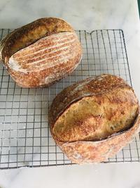 Gambar Tartine Sourdough Bread dari Wiens Artisan Bakery undefined 5 Tokopedia