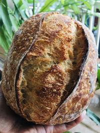 Gambar Tartine Sourdough Bread dari Wiens Artisan Bakery undefined 1 Tokopedia