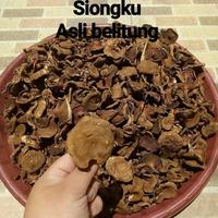 Gambar Jamur sukat/ kulat Asli Belitung (200gr) dari Rumah belitong undefined 1 Tokopedia