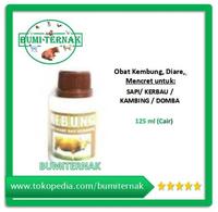 Gambar Rebung Sapi Kambing 125 ml - Obat kembung, diare dan mencret dari BUMI TERNAK undefined 1 Tokopedia