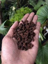 Gambar Media Tanam Pasir Vulkanik Merah Lavarock Lava Rock Size 2 - 1kg dari Netafarm Surabaya undefined 2 Tokopedia