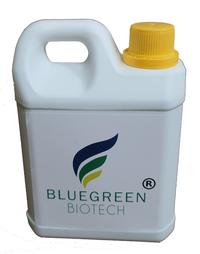 Gambar Budidaya Ikan Gabus Kolam Tanah dari BlueGreen Biotech undefined 1 Tokopedia
