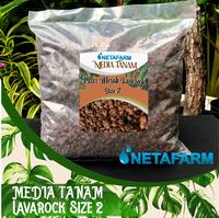 Gambar Media Tanam Pasir Vulkanik Merah Lavarock Lava Rock Size 2 - 1kg dari Netafarm Surabaya undefined 1 Tokopedia