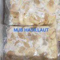 Gambar scallop frozen,daging kerang, daging kerang Kampak, daging simping,1kg dari MJB HASILLAUT dan HASILGUNUNG undefined 2 Tokopedia