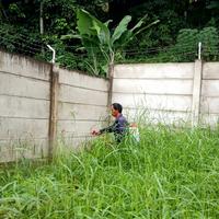 Gambar jasa pemotongan rumput liar/jasa penyemprotan rumput liar/jasa babad dari syukur taman undefined 4 Tokopedia