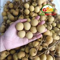 Gambar Lengkeng Import Thailand 1krat dari Ari NK Freshfruits undefined 2 Tokopedia