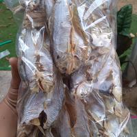 Gambar Ikan Bilis Kering Tawar 500 gram dari Ikan Asin Pantura Rokibstore undefined 2 Tokopedia
