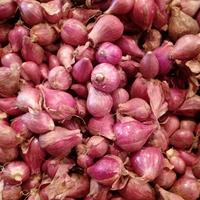 Gambar Bawang Merah Super Brebes 1kg dari Martois undefined 4 Tokopedia