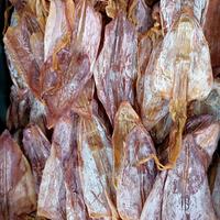 Gambar 500g-Sotong Cumi Kering Kalimantan-Juhi Mentah-Jiu ng-Jiu He Pontianak - Kecil, 500 gram dari Kalbar shop Aneka Snack undefined 2 Tokopedia