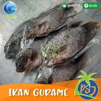 Gambar Ikan Gurame Segar / Gurame Besar (Sudah bersih insang) / Gurame 1Kg dari Pasar Seafood Jakarta undefined 4 Tokopedia