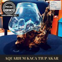 Gambar AKUARIUM IKAN CUPANG XXL / KACA TIUP AKAR BALI / AQUASCAPE / AQUARIUM - EXTRA VERNIS dari Bali Art Craft undefined 1 Tokopedia