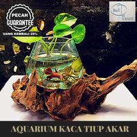 Gambar Akuarium ikan unik size L / aquascape / pot kaca / akuarium kaca tiup - EXTRA BUBBLE dari Bali Art Craft undefined 3 Tokopedia