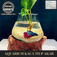Gambar Akuarium ikan unik size L / aquascape / pot kaca / akuarium kaca tiup - EXTRA BUBBLE dari Bali Art Craft undefined 4 Tokopedia