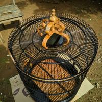 Gambar sangkar burung murai batu mewah dari agung jaya furniture_NEW undefined 3 Tokopedia