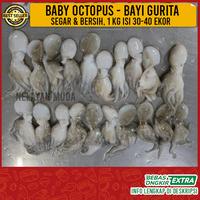 Gambar Baby Gurita atau Octopus kecil 1 kg isi sekitar 30-40 ekor - 500 gram dari Nelayan Muda jakarta undefined 5 Tokopedia