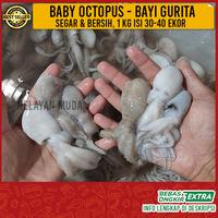 Gambar Baby Gurita atau Octopus kecil 1 kg isi sekitar 30-40 ekor - 500 gram dari Nelayan Muda jakarta undefined 2 Tokopedia