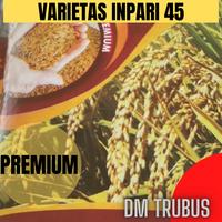 Gambar BENIH VARIETAS INPARI 45 DIRGAHAYU dari pro semai undefined 1 Tokopedia