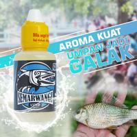 Gambar ESSEN UMPAN IKAN NILEM SEMARWANGI ISI 30ml UNTUK MANCING HARIAN & LIAR dari Aquatic Fishing undefined 1 Tokopedia